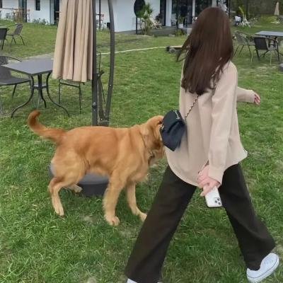 漂洋过海爱上你
